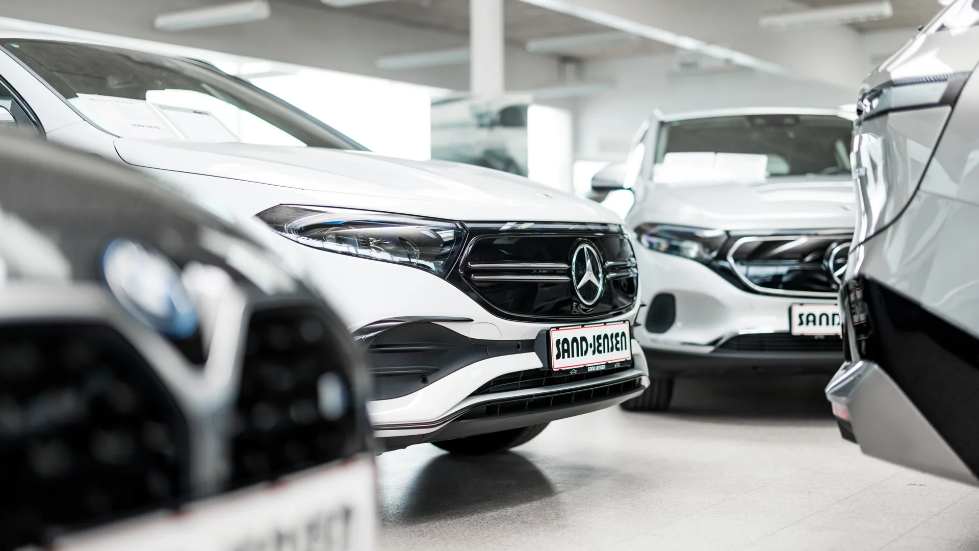 Sandjensen 62A0680 Web