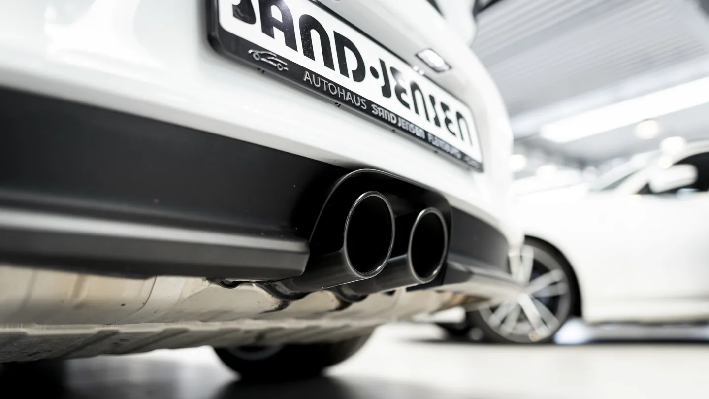 Sandjensen 0199